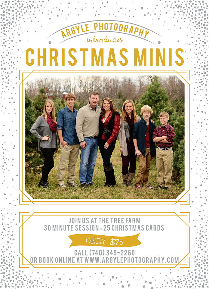 Tree Farm mini session ad Web version