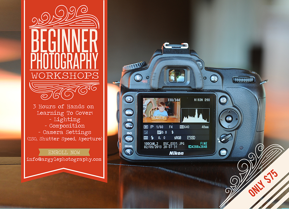 2014 Begginer photography class ad web size copy